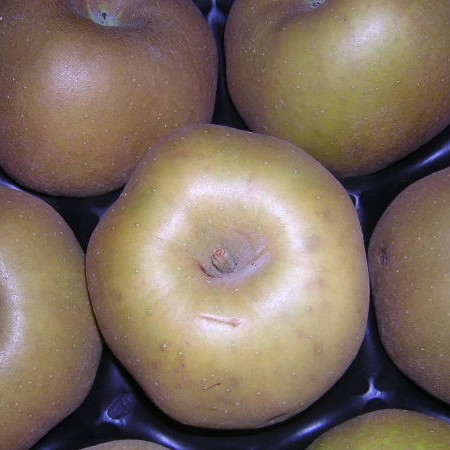 POMME CANADA 