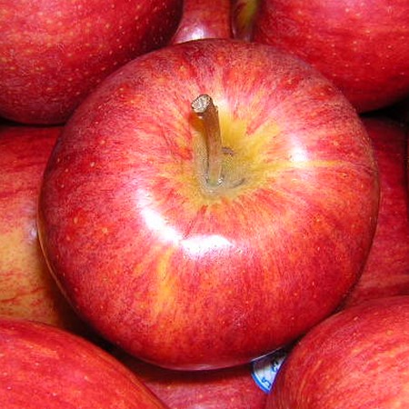 POMME ROYAL GALA